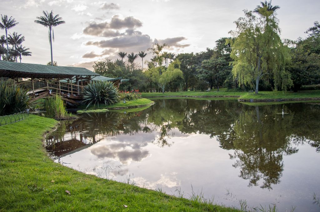 Botanical garden with a lake, grassland, and trees.