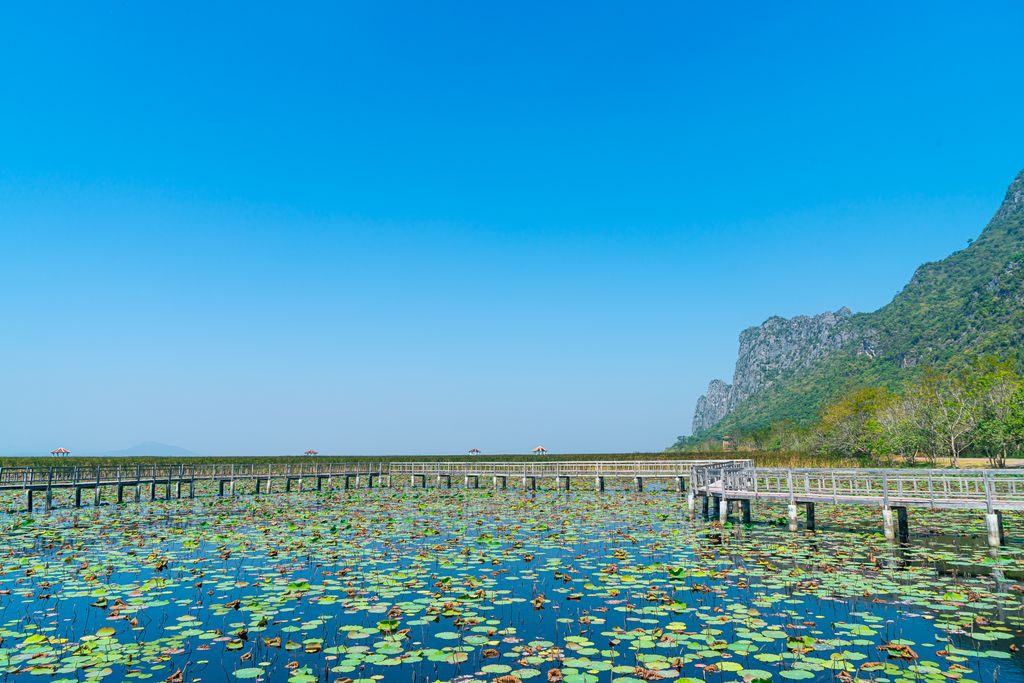 A walkway on the freshwater marsh at the Bueng Bua Nature Observation Center in Khao Sam Roi Yot National Park near Hua Hin, Thailand.