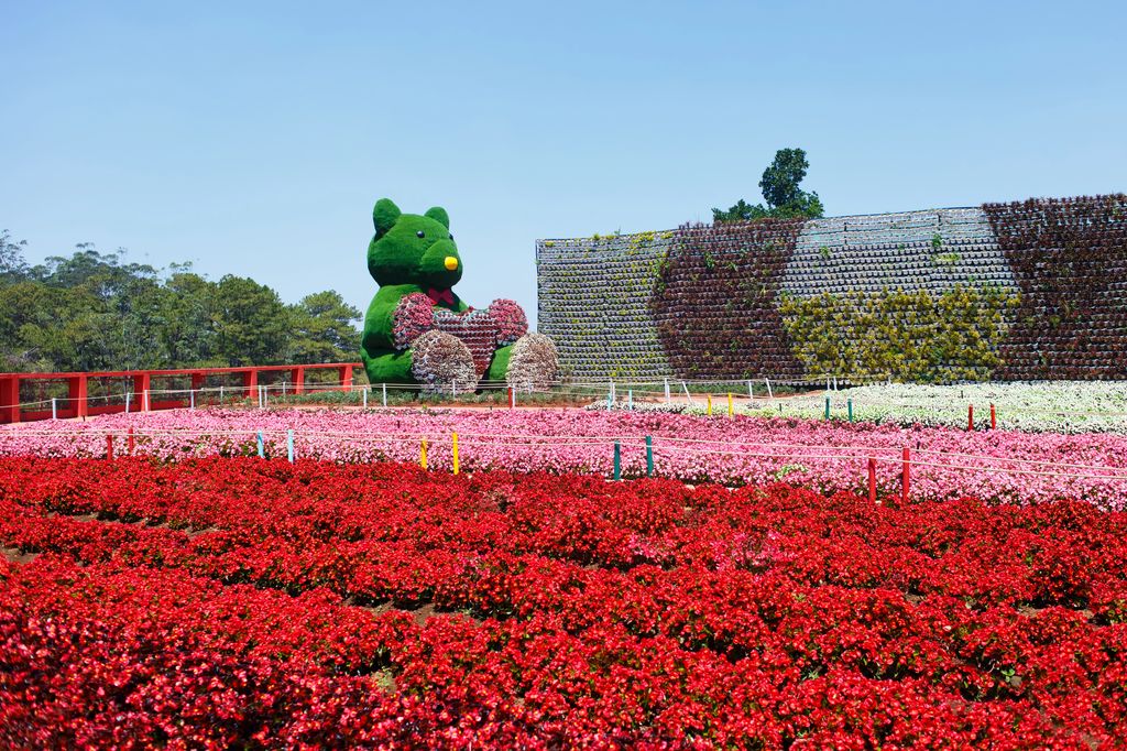 A sea of red, pink, and white flowers and giant bear and heart bush structures in Dalat, Vietnam.
