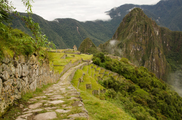 Inca Trail at Machu Picchu A stone path winds through lush green terraces towards a mountain peak in inca trail approaching Machu Picchu
