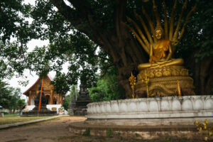 The Best Things To Do In Luang Prabang
