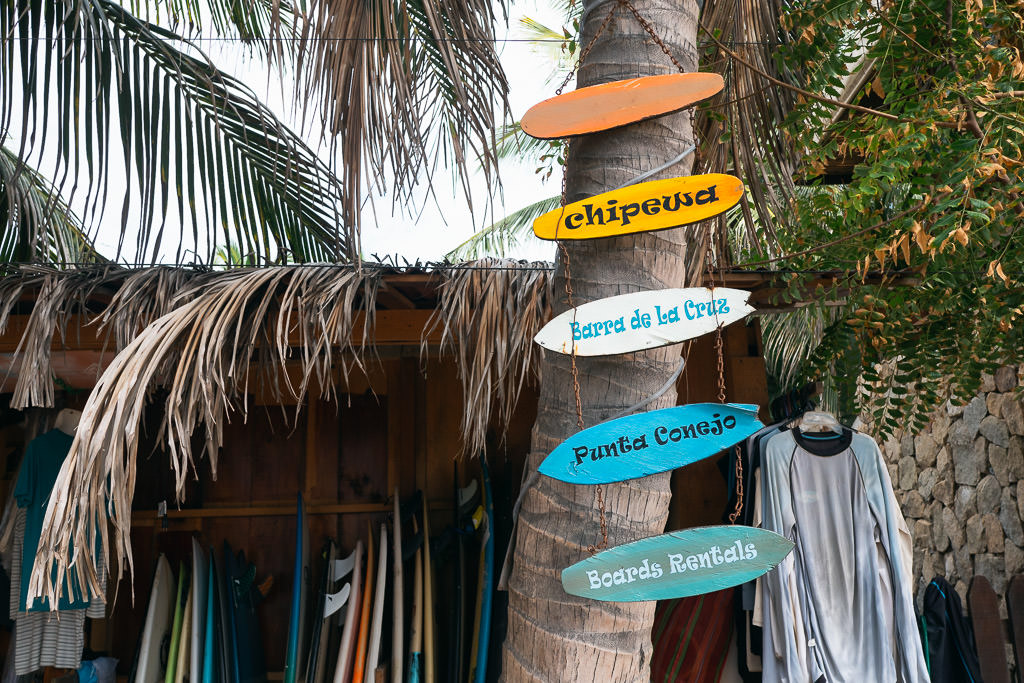 Surfboards as well as surf-board signs on a tree at La Punta.