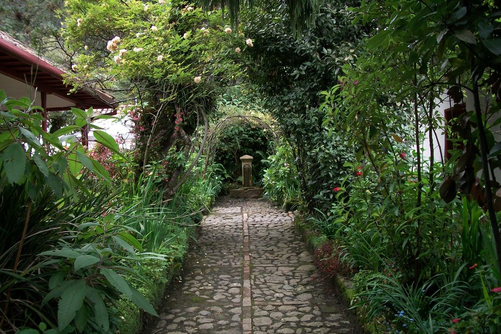 Vegetable arches in the garden of Quinta de Bolivar in Bogota, Colombia.